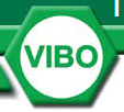 Bontempi Vibo logo