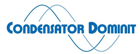 Dominit logo