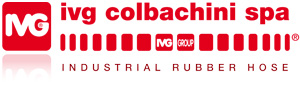 IVG logo