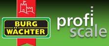 Profiscale logo