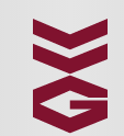 VVG logo